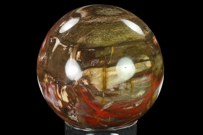 Colorful Petrified Wood Sphere - Madagascar #135661